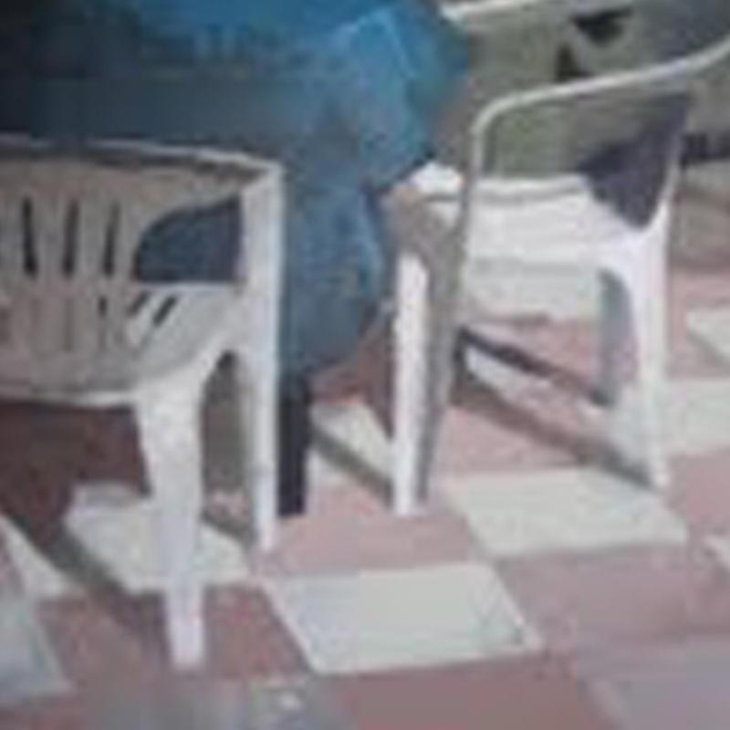 Artiga